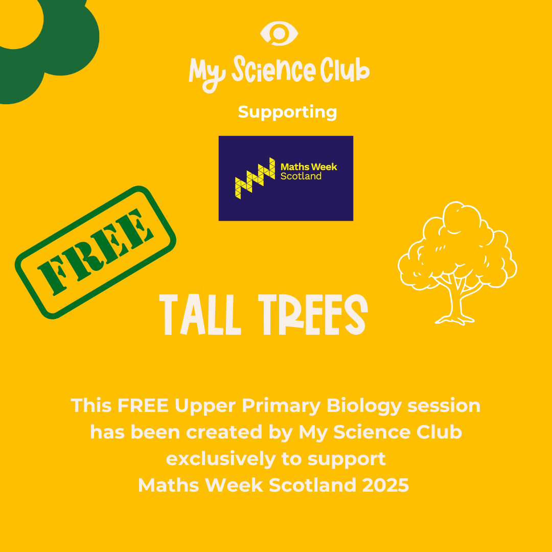 Maths Week Scotland 2025